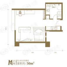 京隆国际公寓一房一厅一卫-50平米户型图