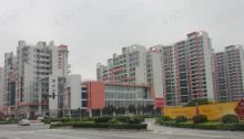 尚东康城社区实景