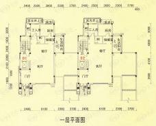 碧桂园山水桃园别墅N56 一层平面图户型图