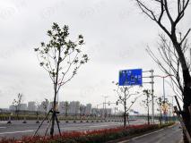 上海晶园位置交通图